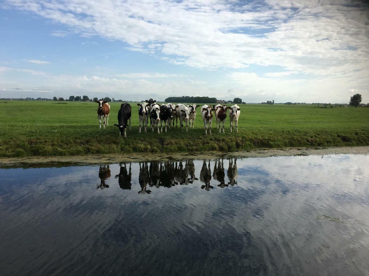Gaast Vakantiehuis Het Voorhuis Op Landgoed Koepeltjesplaats מראה חיצוני תמונה