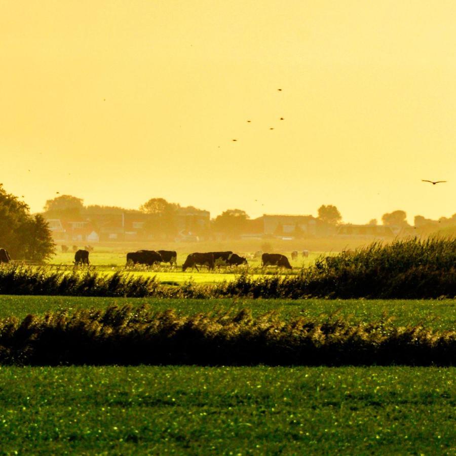 Gaast Vakantiehuis Het Voorhuis Op Landgoed Koepeltjesplaats מראה חיצוני תמונה